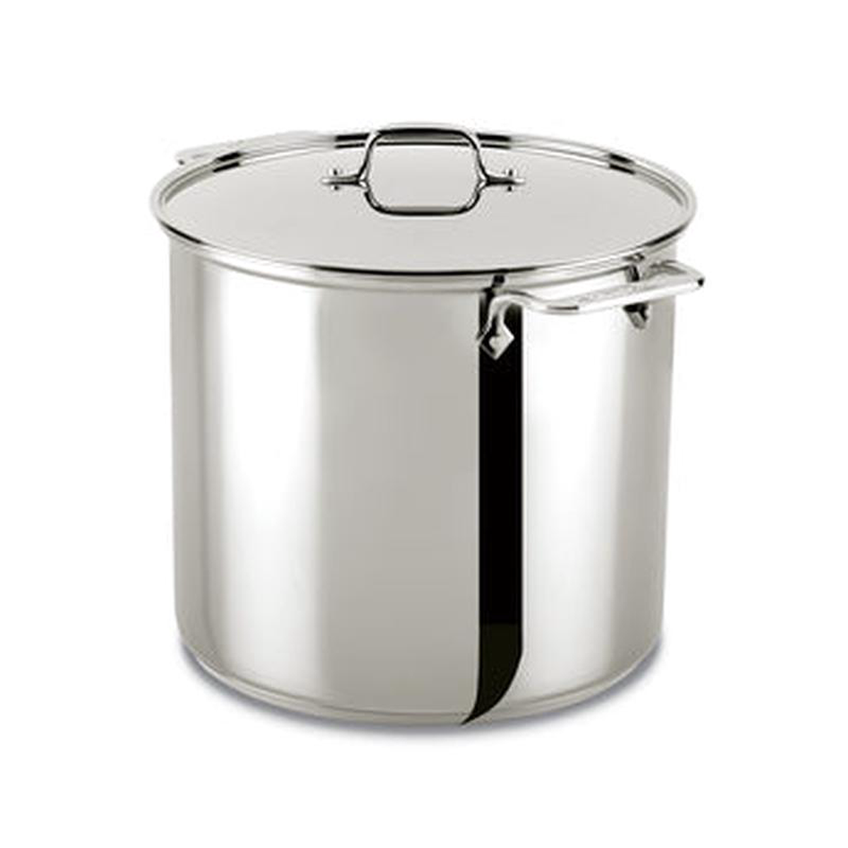 All-Clad 16 Qt Stock Pot with Lid Stainless Steel