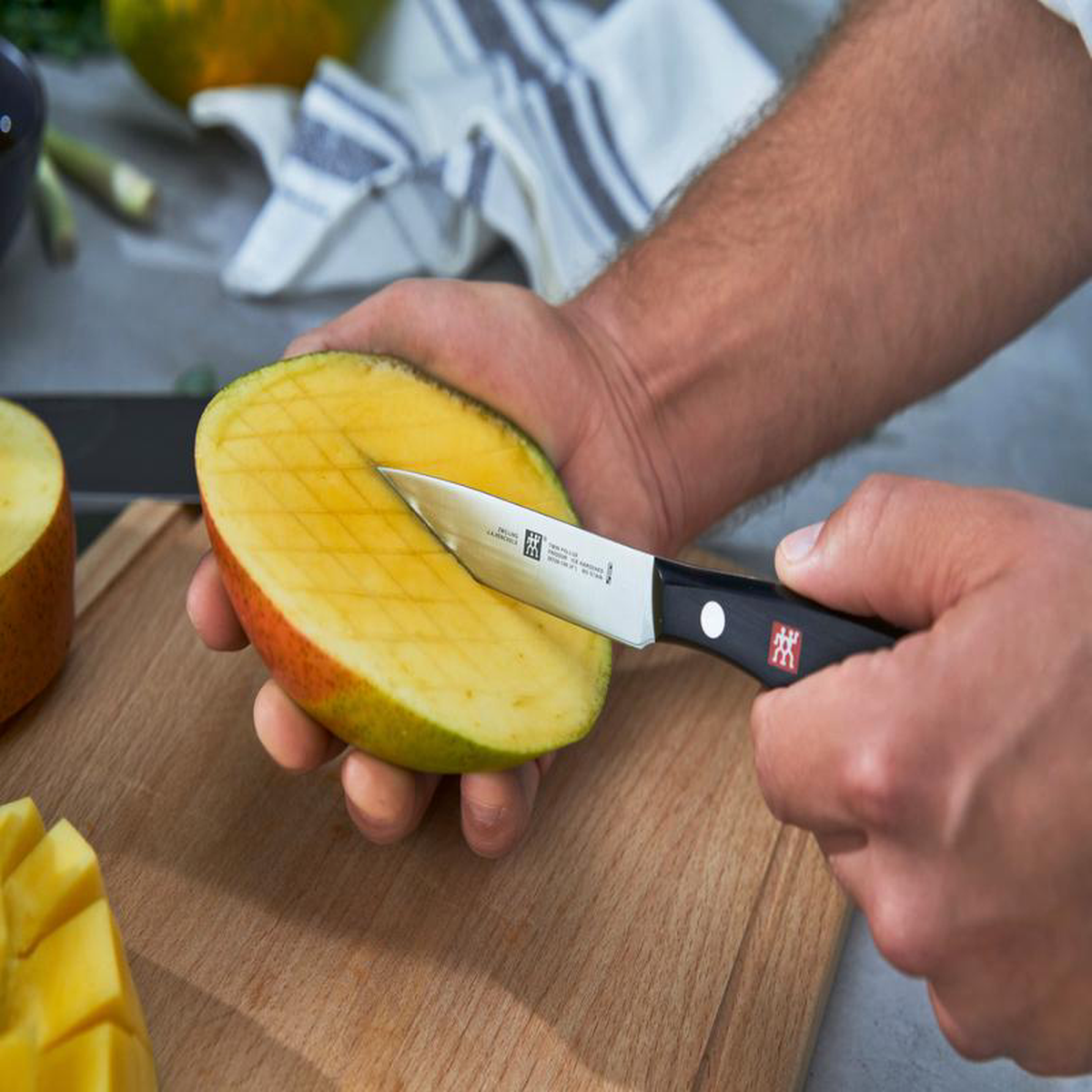 Zwilling Twin P Paring Knife 10c Grey